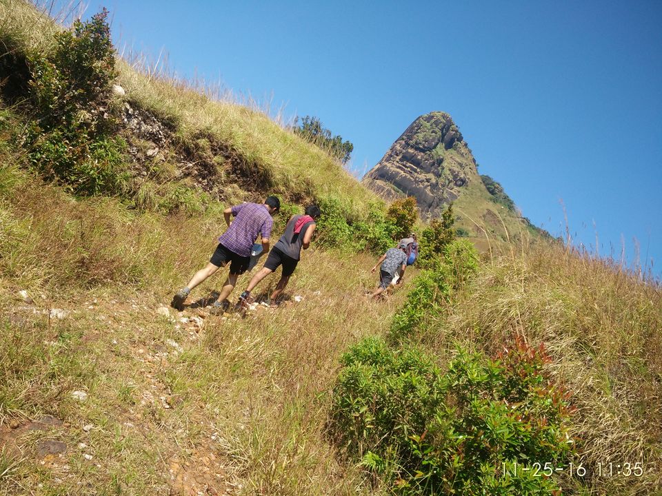 Photo of Kurinjal peak, Kudremukh Range, Nooralbettu, Karnataka, India by Sumukh Hegde