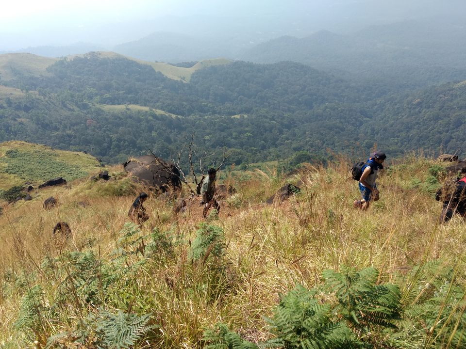 Photo of Kurinjal peak, Kudremukh Range, Nooralbettu, Karnataka, India by Sumukh Hegde