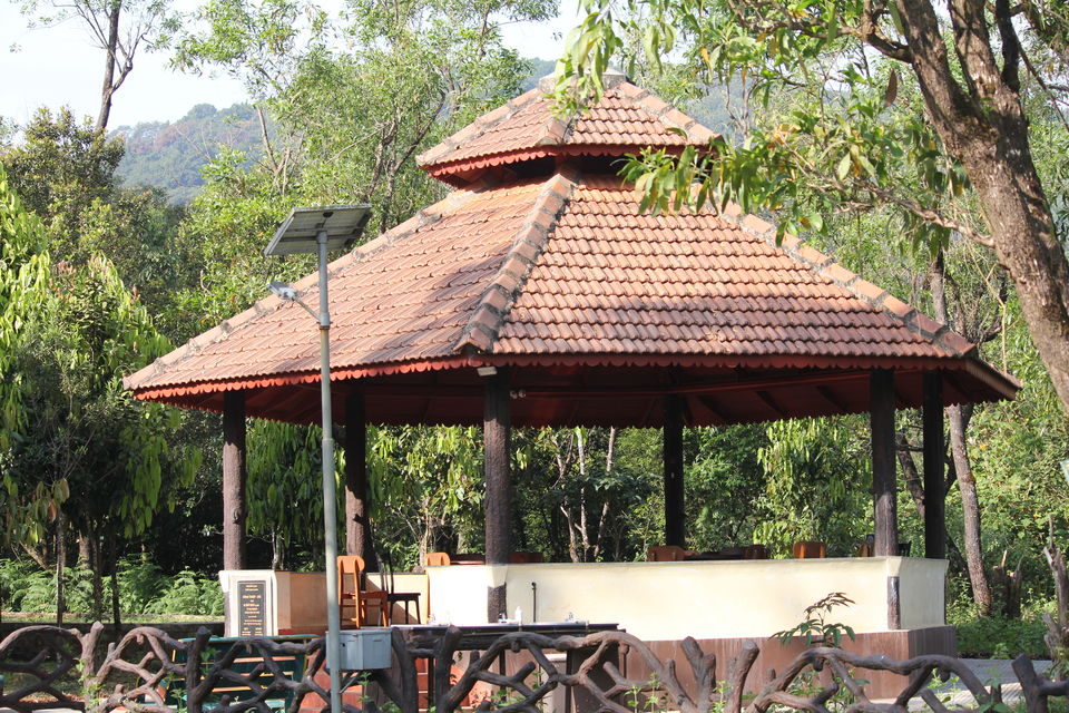 Photo of Bhagavathi Nature Camp, Bhagavathi Nature Camp Road, Karnataka, India by Sumukh Hegde