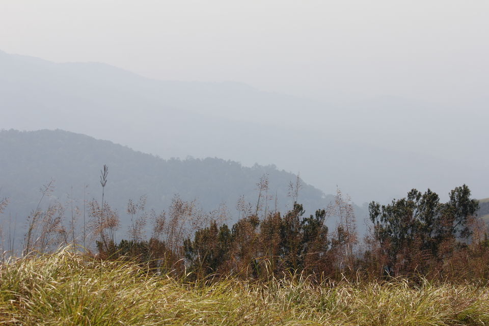Photo of Bhagawathi Nature camp, art of losing yourself at Kudremukha by Sumukh Hegde