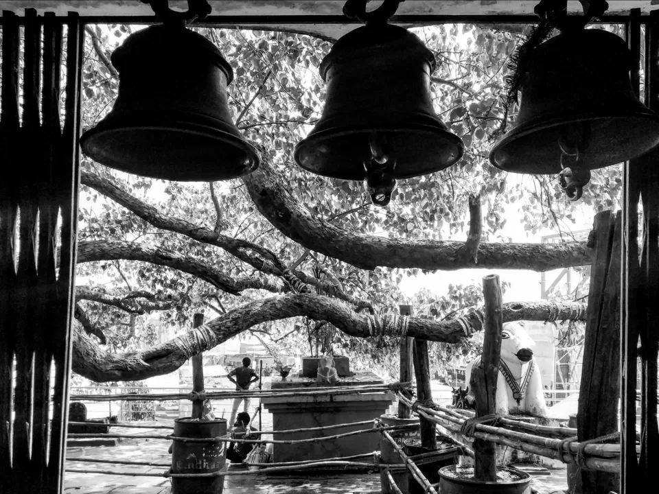 Photo of Rajim, Chhattisgarh, India by Kriti Ghai