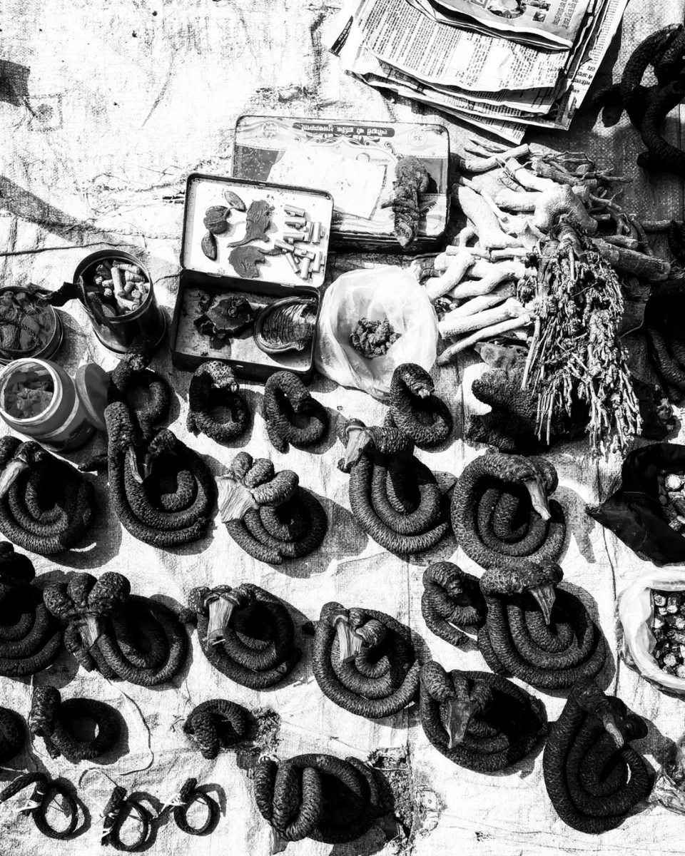 Photo of Rajim, Chhattisgarh, India by Kriti Ghai