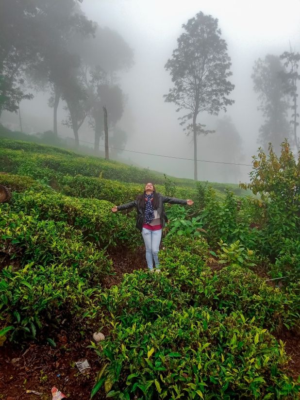 Photo of COONOOR- A Sanctuary of Tranquility by Sushree Kanti