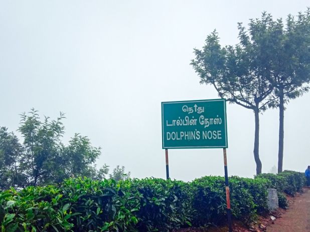 Photo of COONOOR- A Sanctuary of Tranquility by Sushree Kanti
