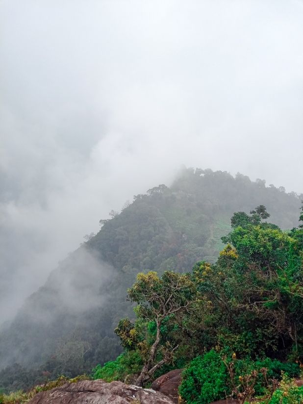 Photo of COONOOR- A Sanctuary of Tranquility by Sushree Kanti