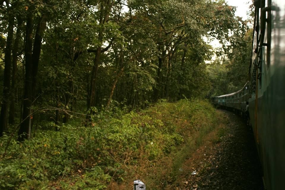 Photo of The Uncharted Dudhsagar by Shrinath
