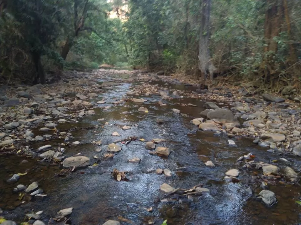 Photo of Bhagwan Mahaveer Wildlife Sanctuary Camp Site, Colem, Goa, India by Shrinath