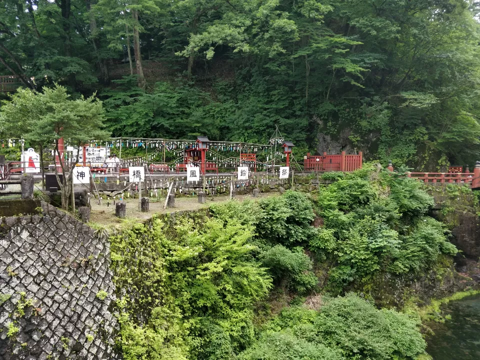 Photo of Marvellous Nikko by Rajath BR