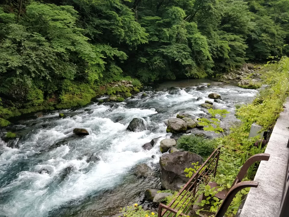 Photo of Marvellous Nikko by Rajath BR