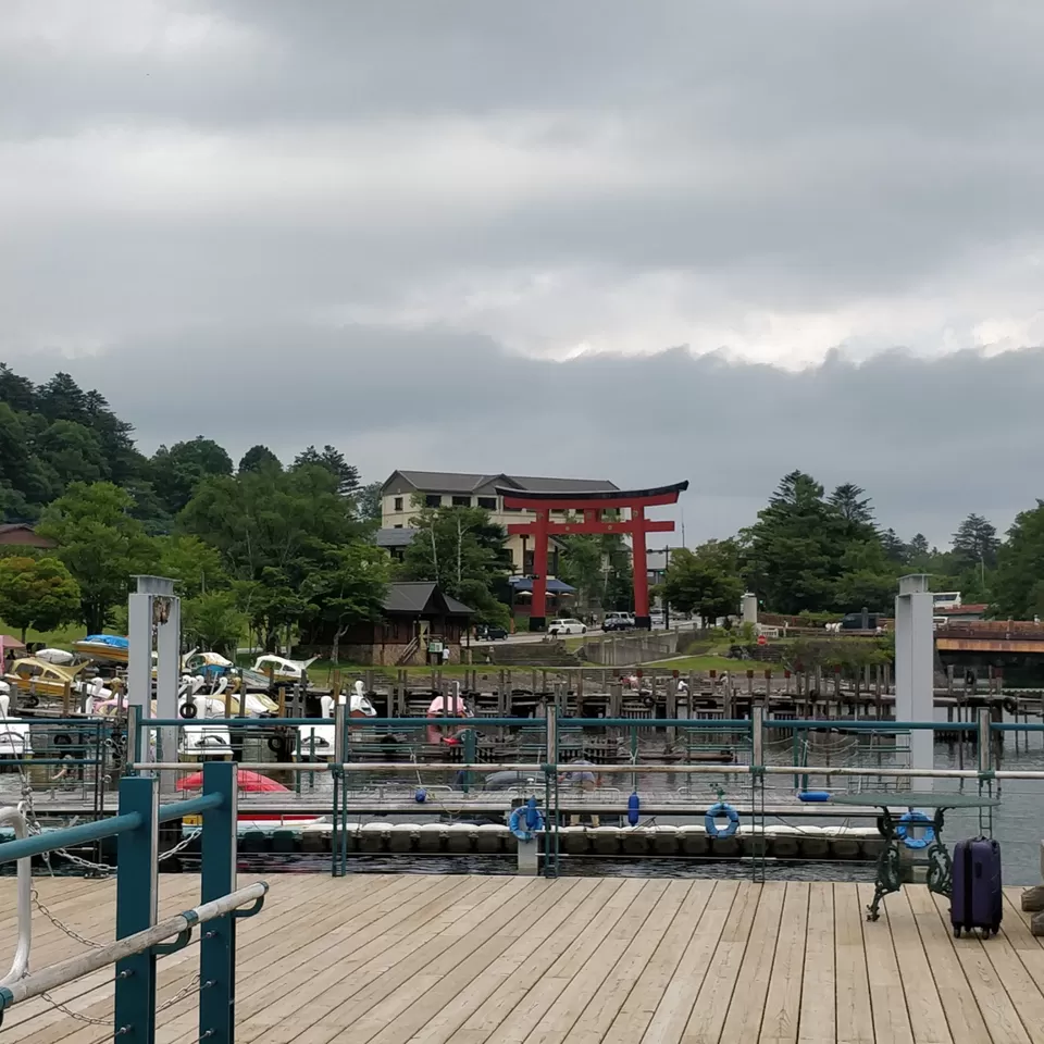 Photo of Marvellous Nikko by Rajath BR