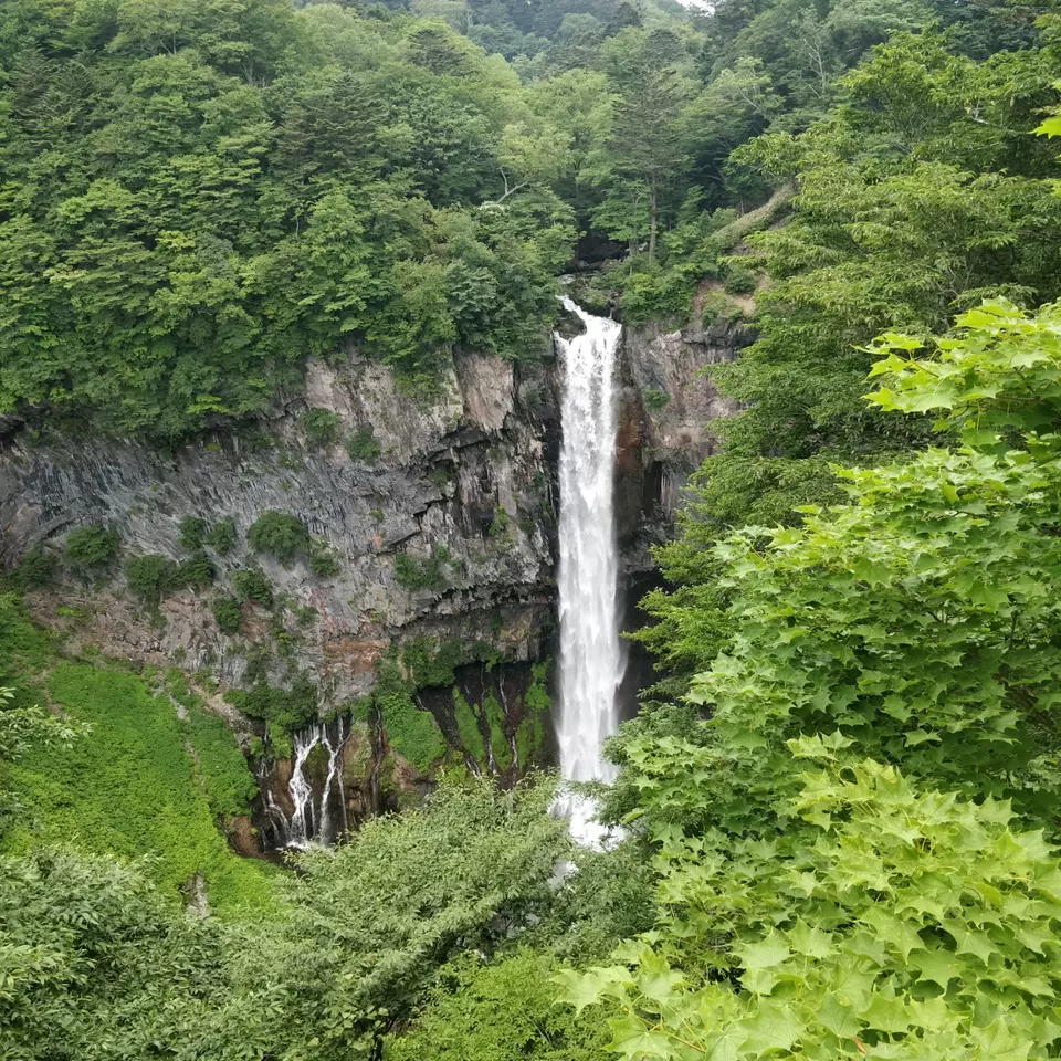 Photo of Marvellous Nikko by Rajath BR