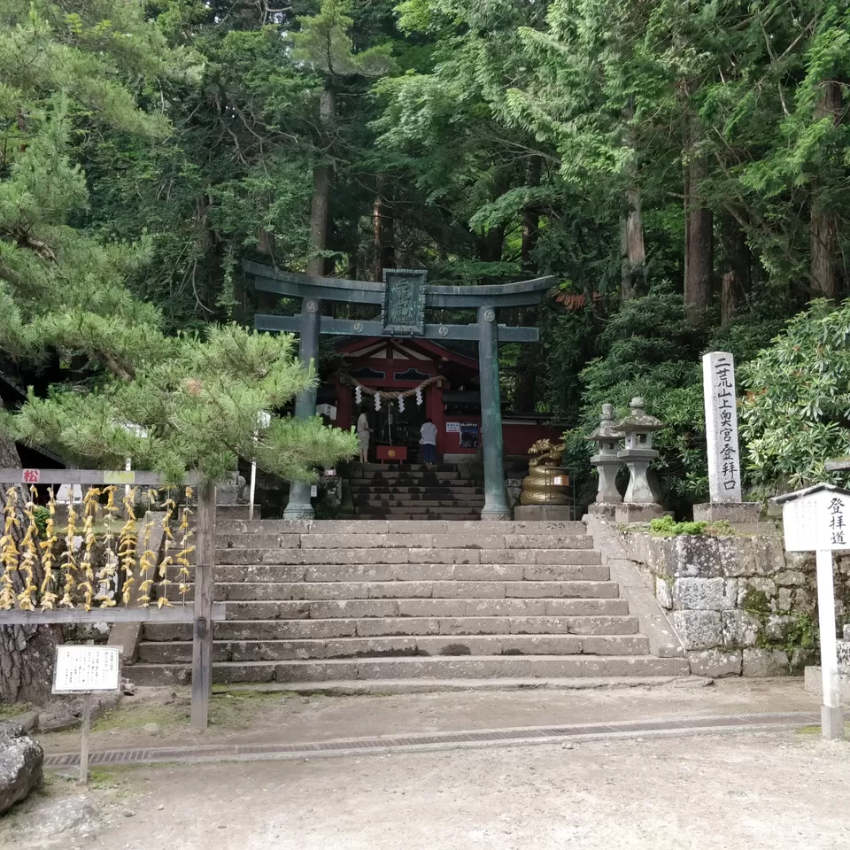 Photo of Marvellous Nikko by Rajath BR