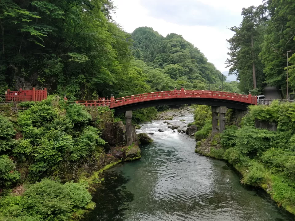 Photo of Marvellous Nikko by Rajath BR