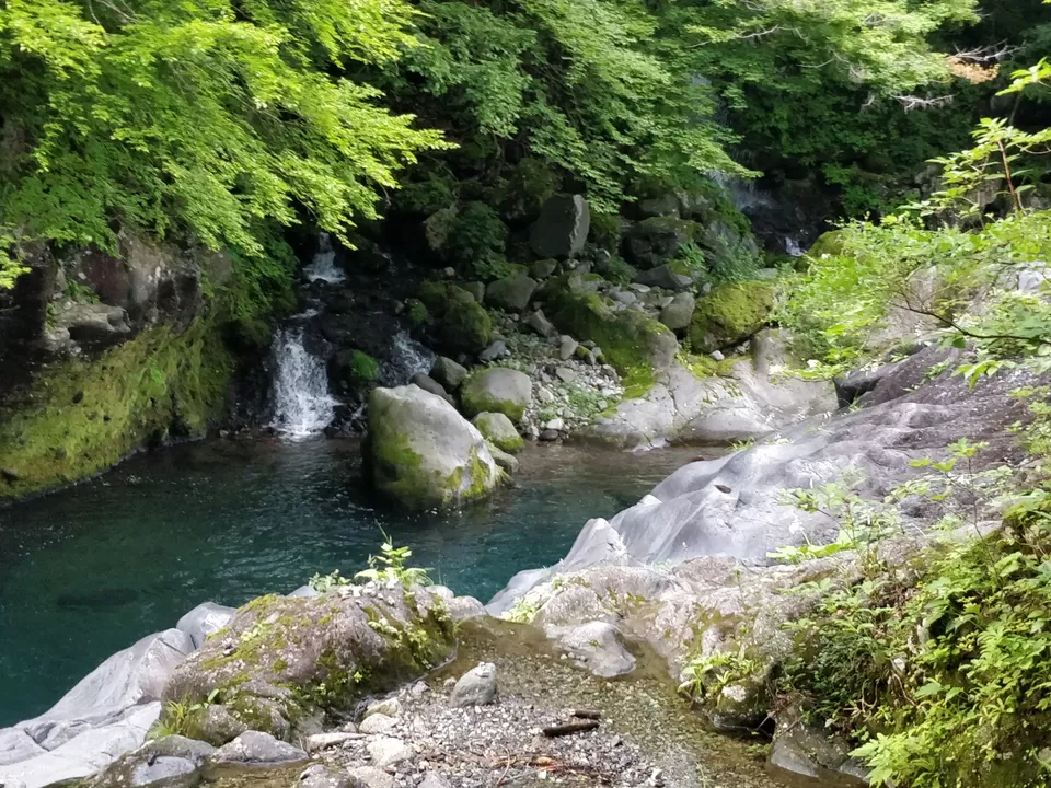 Photo of Marvellous Nikko by Rajath BR
