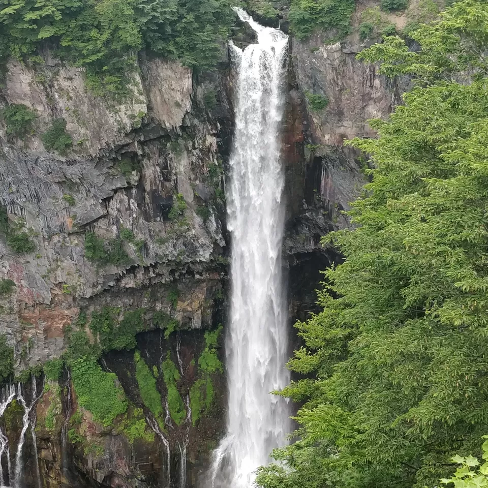 Photo of Marvellous Nikko by Rajath BR