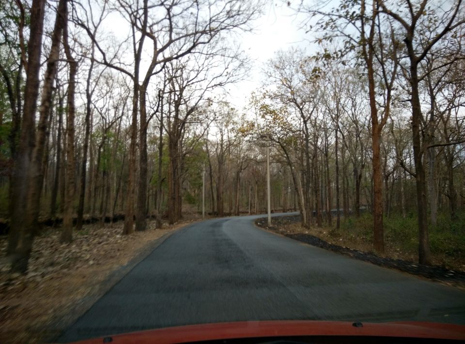 Photo of Weekend getaway to Coorg 5/5 by Ajit Kumar