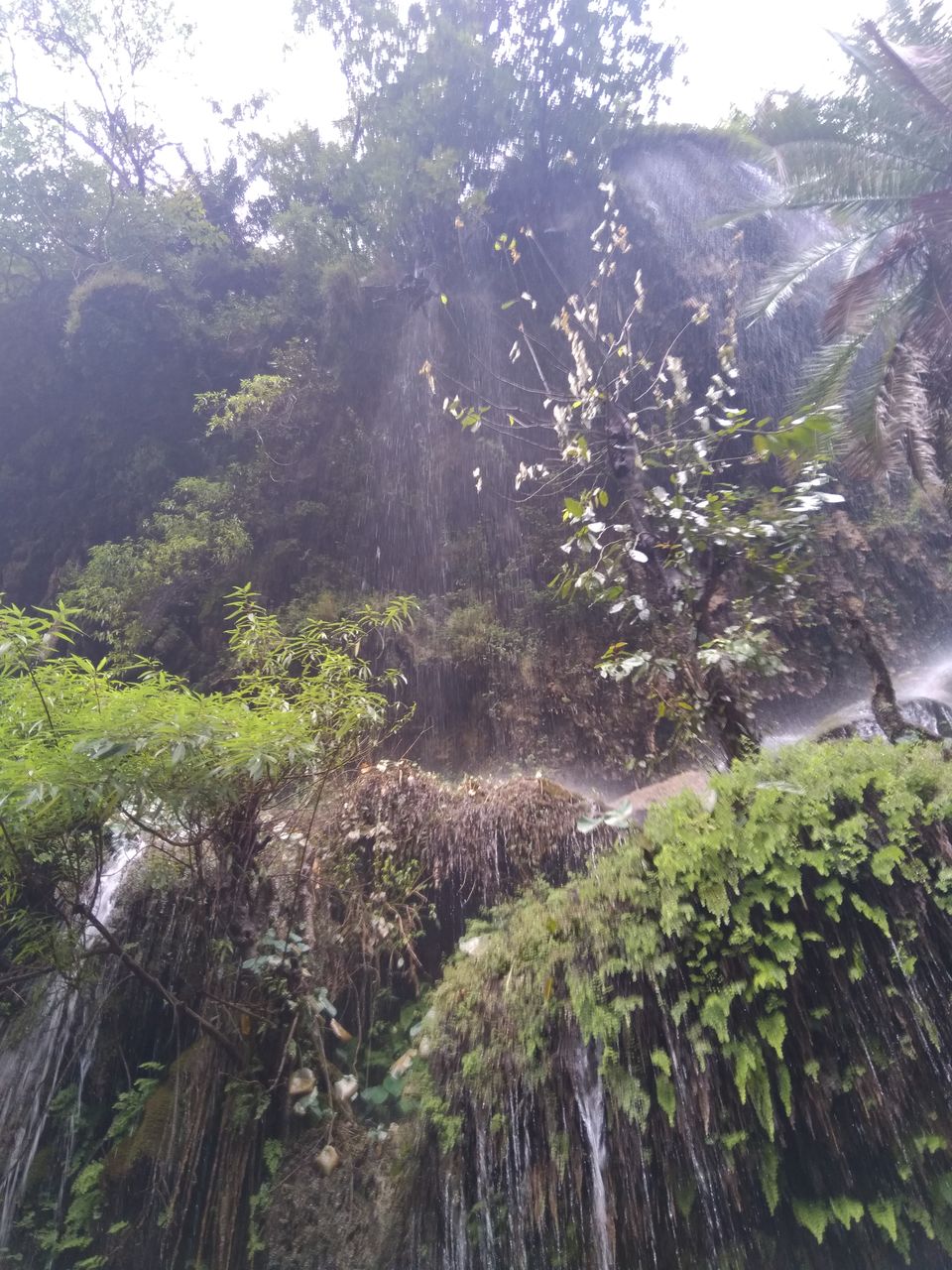 Photo of Trip To Haridwar, Rishikesh, Dehradun, Mussorie 21/24 by Sumit Kumar Srivastava