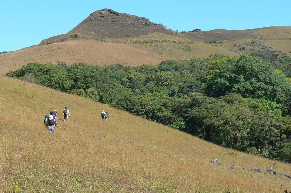 Photo of This hidden trek in the Western Ghats will leave you spellbound by Jeetendra Ajmera