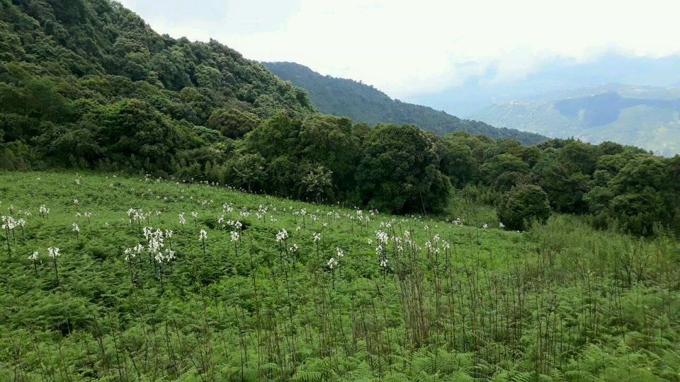 Photo of Explore this 500-year old village of Liyai Khullen in Manipur by Jeetendra Ajmera