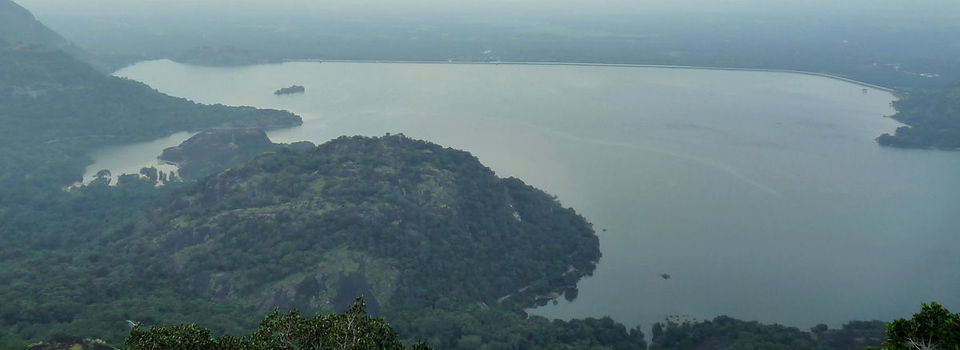 Photo of Valparai Forest Trail: Road Trip from Kerala to Tamil Nadu via Athirappilly by Jeetendra Ajmera