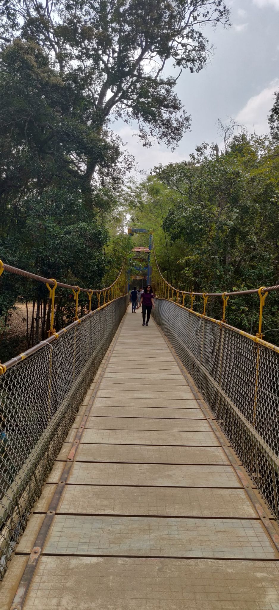 Photo of Traveller to Coorg by Arindam Sarkar