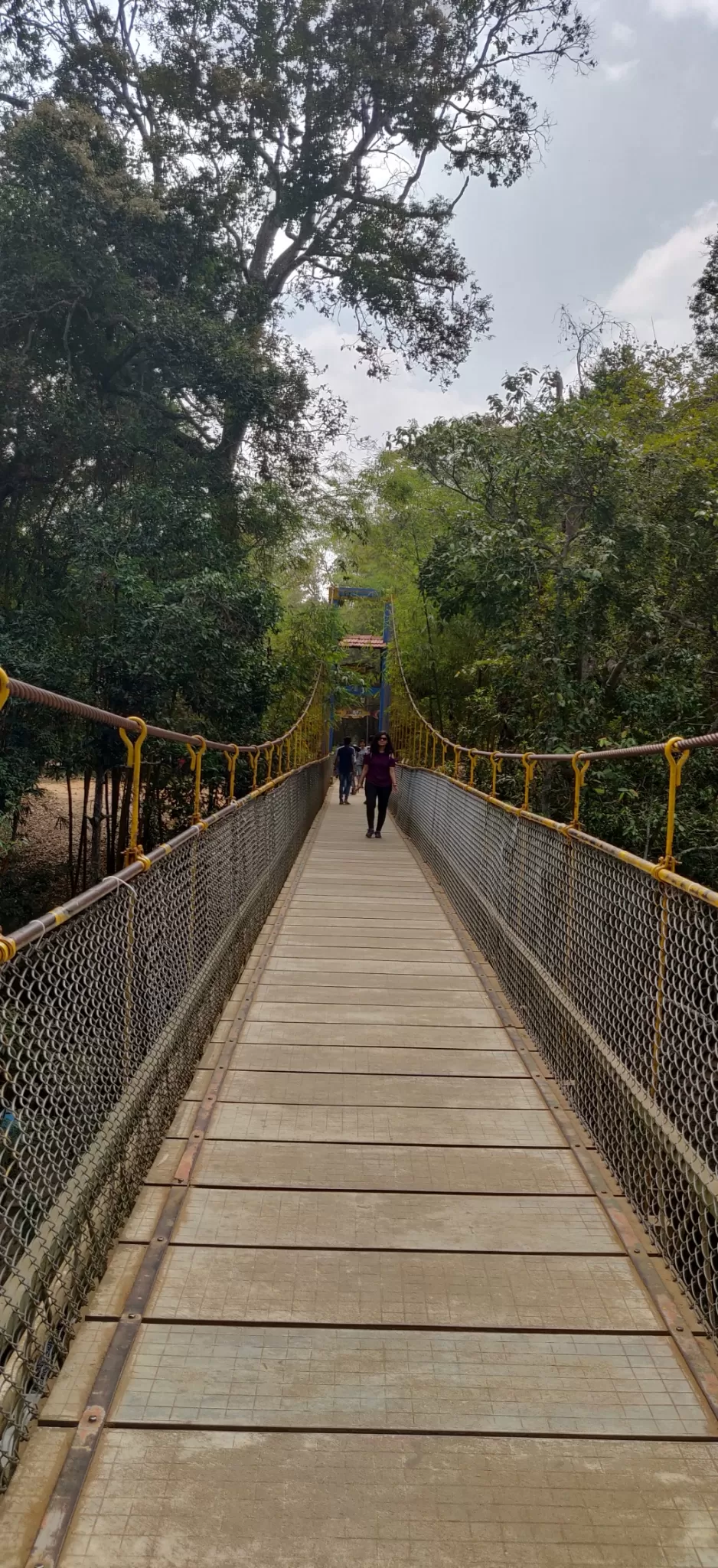 Photo of Traveller to Coorg by Arindam Sarkar