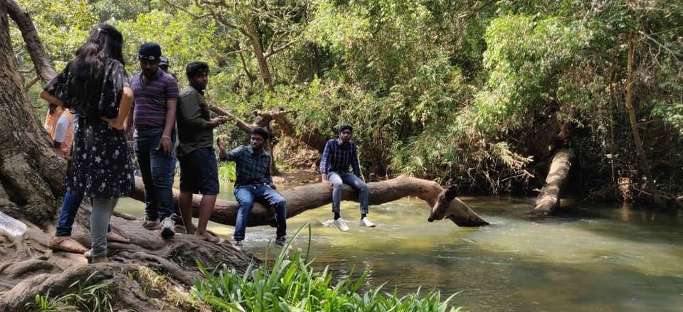 Photo of Traveller to Coorg by Arindam Sarkar
