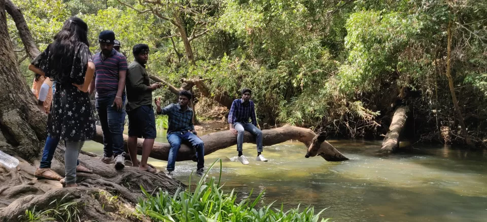 Photo of Traveller to Coorg by Arindam Sarkar