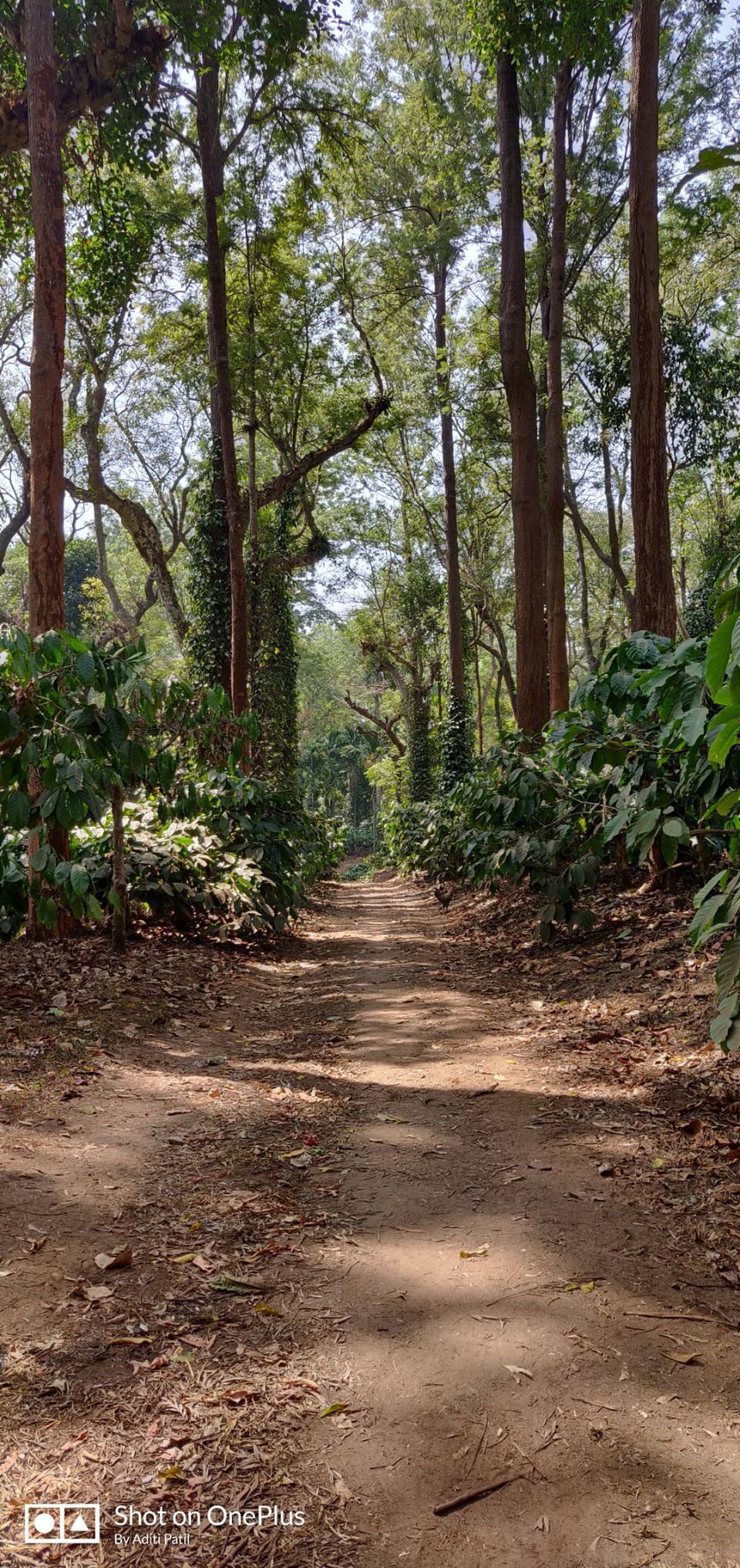 Photo of Traveller to Coorg by Arindam Sarkar