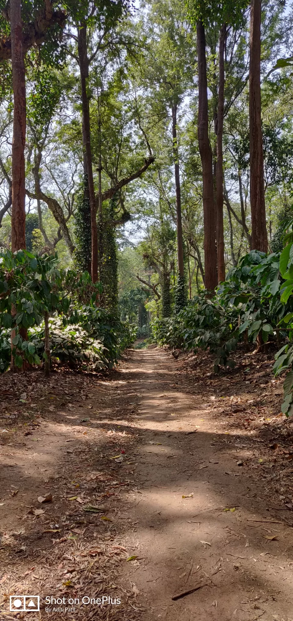 Photo of Traveller to Coorg by Arindam Sarkar