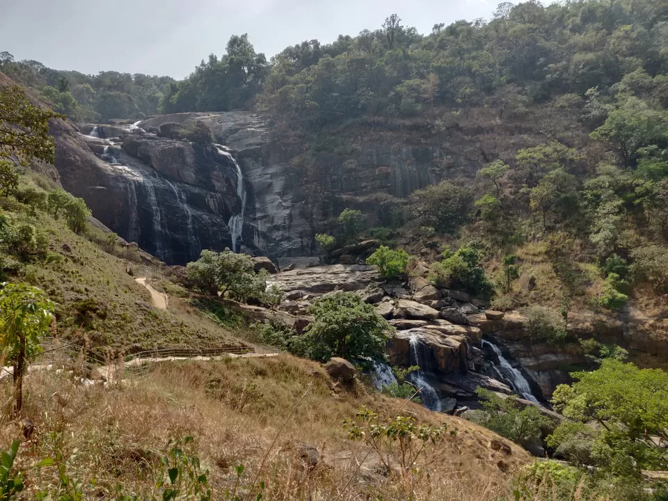 Photo of Traveller to Coorg by Arindam Sarkar