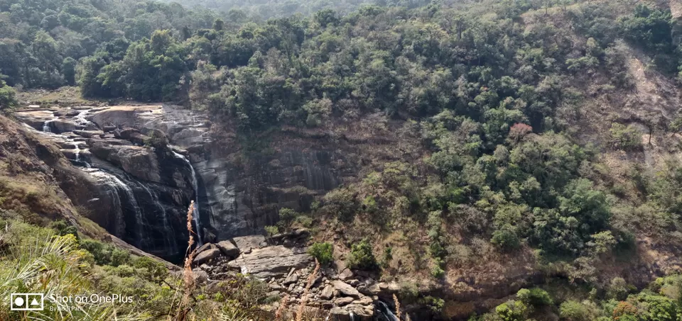 Photo of Traveller to Coorg by Arindam Sarkar