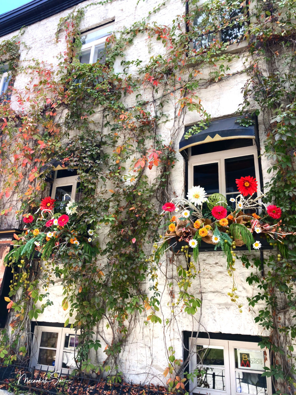 Photo of Quebec City, QC, Canada by Meenakshi Sai