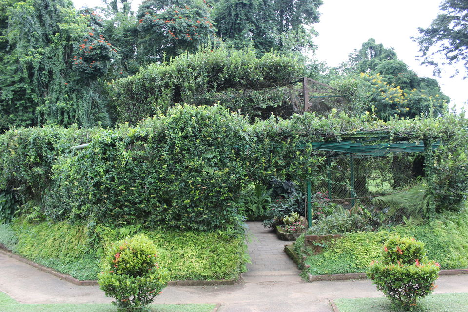 Photo of Explore Kandy, Sri Lanka by G. Mehul Krishna Kumar