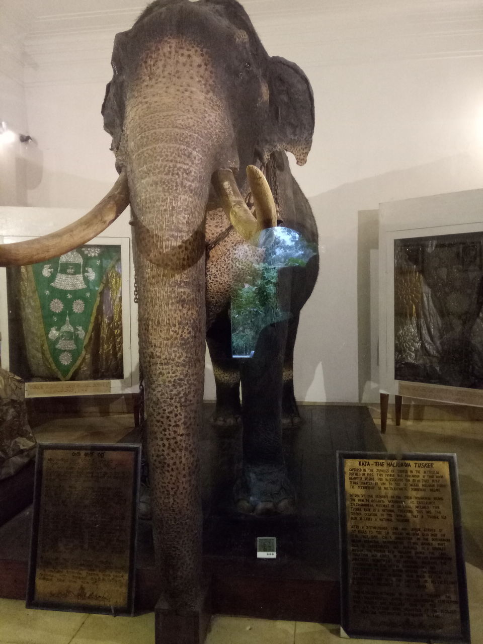 Photo of Explore Kandy, Sri Lanka by G. Mehul Krishna Kumar