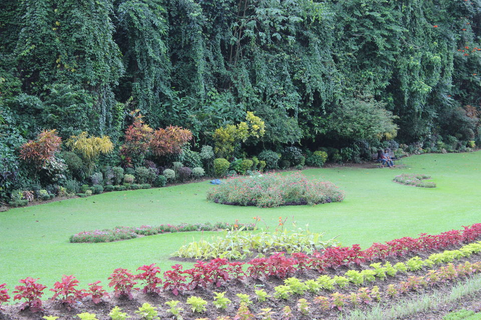 Photo of Explore Kandy, Sri Lanka by G. Mehul Krishna Kumar