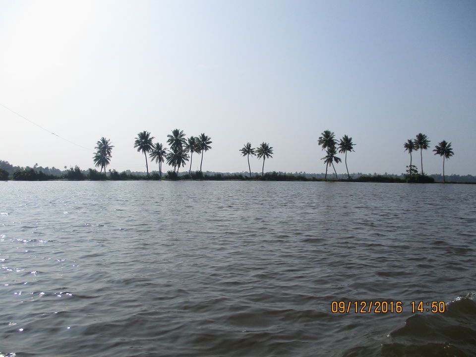 Photo of Citrus Retreats Alleppey, Pallathuruthy, Pallathurut, Alappuzha, Kerala, India by G. Mehul Krishna Kumar