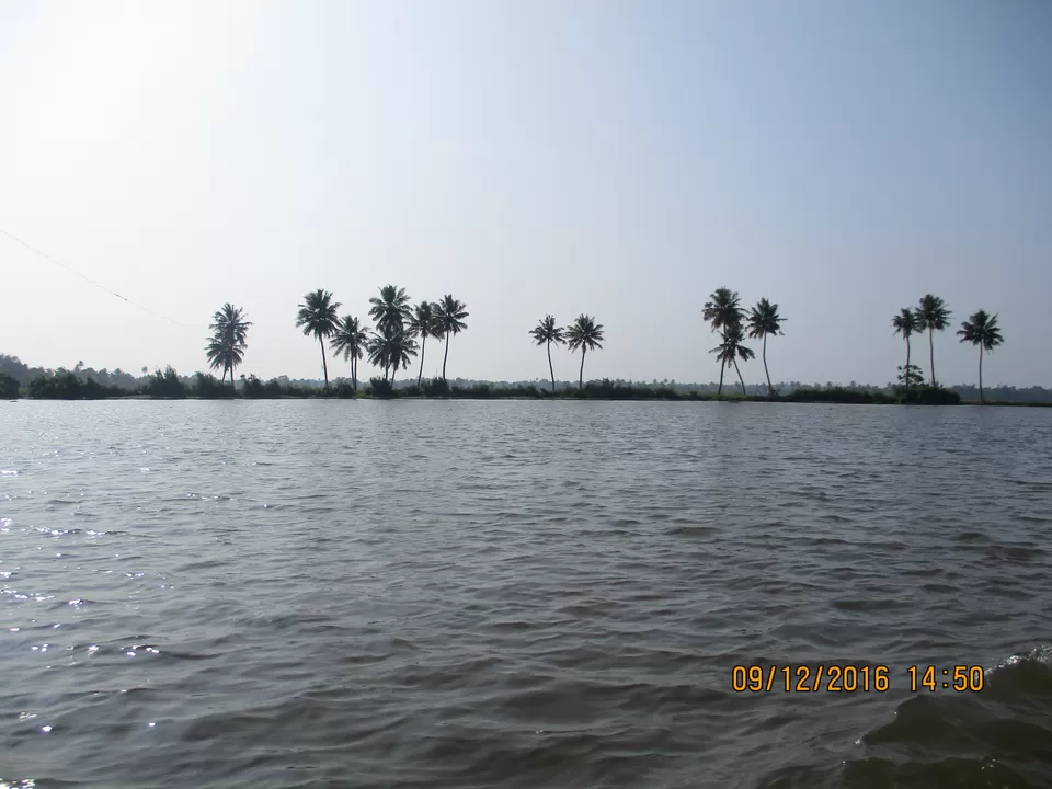 Photo of Citrus Retreats Alleppey, Pallathuruthy, Pallathurut, Alappuzha, Kerala, India by G. Mehul Krishna Kumar