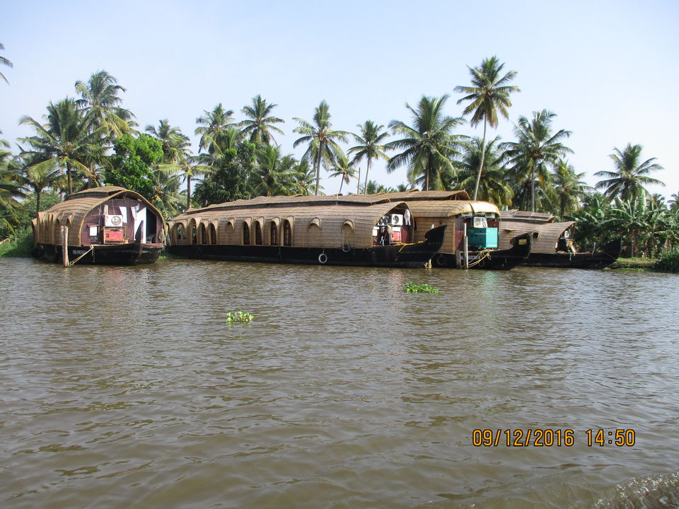 Photo of My Solo Love Affair With Allappuzha #romantictrip by G. Mehul Krishna Kumar