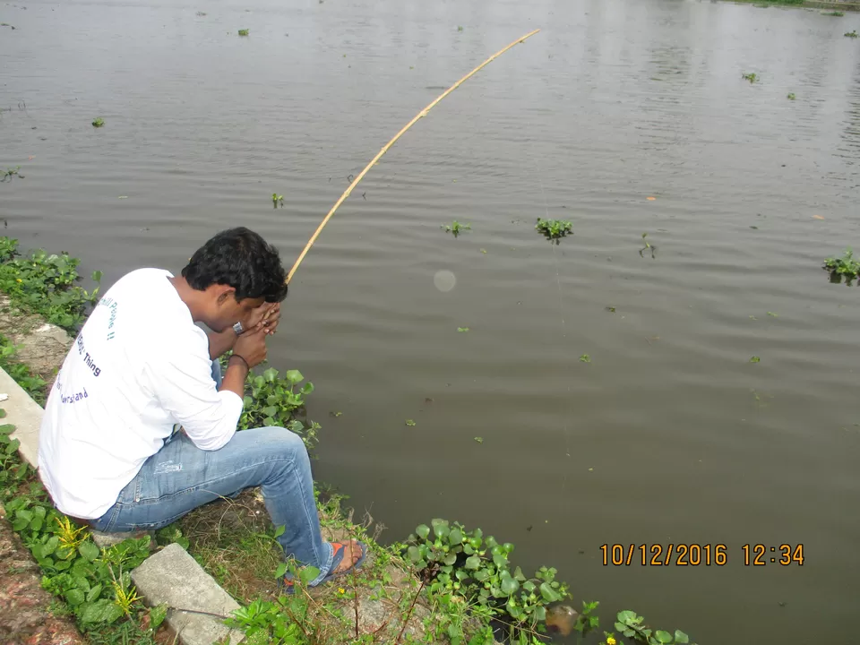 Photo of Citrus Retreats Alleppey, Pallathuruthy, Pallathurut, Alappuzha, Kerala, India by G. Mehul Krishna Kumar