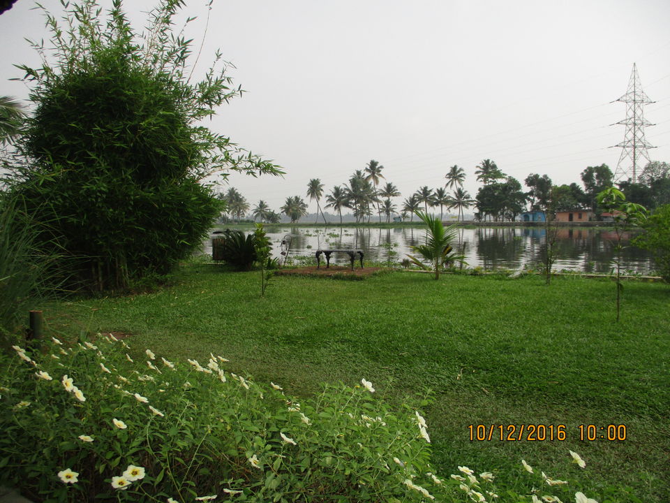 Photo of Citrus Retreats Alleppey, Pallathuruthy, Pallathurut, Alappuzha, Kerala, India by G. Mehul Krishna Kumar