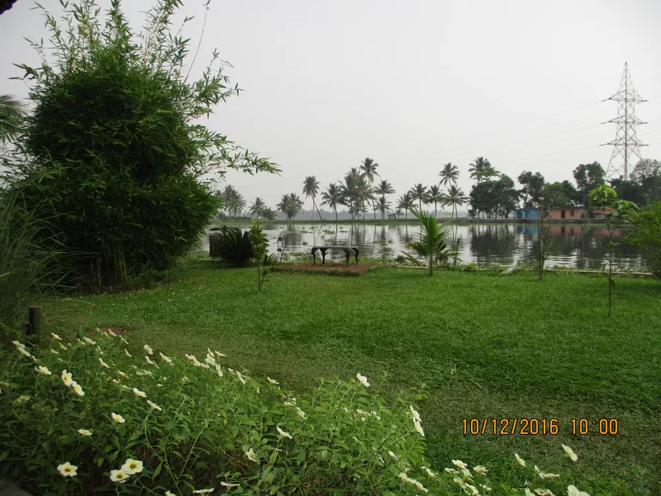Photo of Citrus Retreats Alleppey, Pallathuruthy, Pallathurut, Alappuzha, Kerala, India by G. Mehul Krishna Kumar