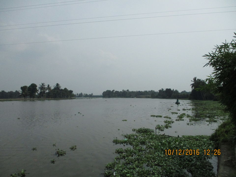 Photo of My Solo Love Affair With Allappuzha #romantictrip by G. Mehul Krishna Kumar