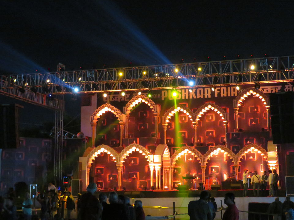 Photo of Pushkar Animal Fair in Rajasthan 5/8 by Shruti Pradhan