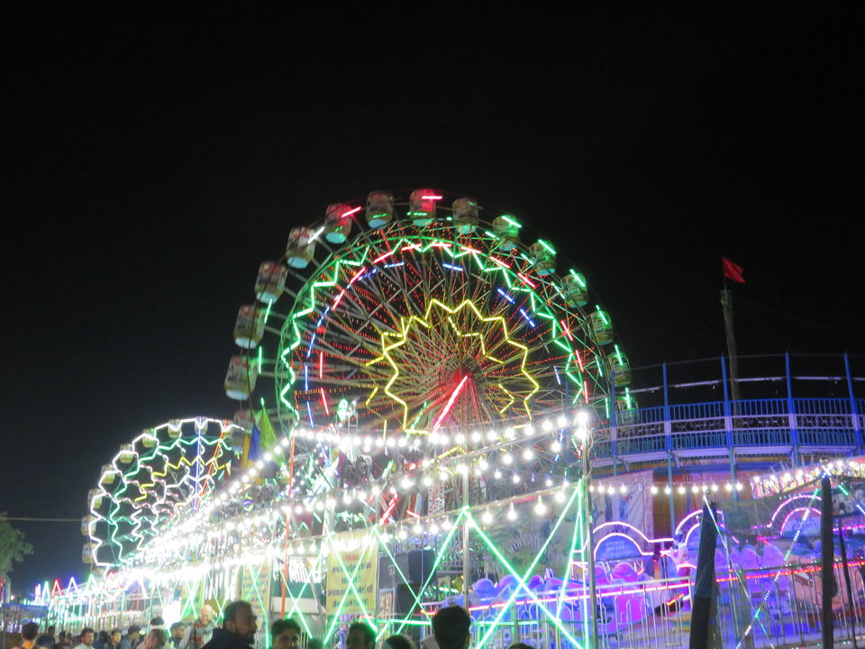 Photo of Pushkar Animal Fair in Rajasthan 6/8 by Shruti Pradhan