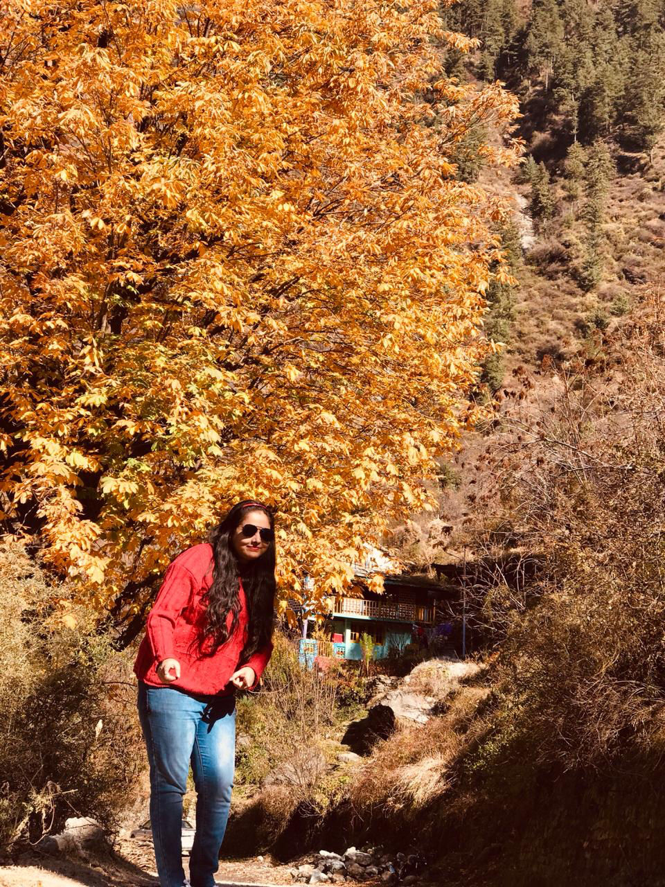 Photo of Nomadic Kasol by Yogeeta & Nishant