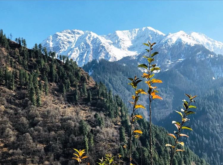 Photo of Nomadic Kasol by Yogeeta & Nishant - Instagram @yogeetanishantkumar @yonisha16 @kumar.nishant024