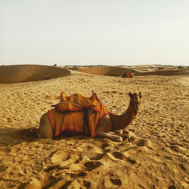 Photo of Delhi to Jaisalmer: A Road trip to Cherish Forever by Akanksha Biswas