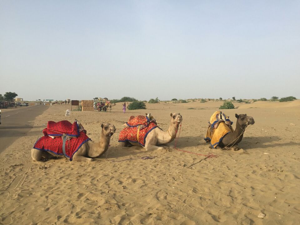 Photo of Jaisalmer, Rajasthan, India by Akanksha Biswas