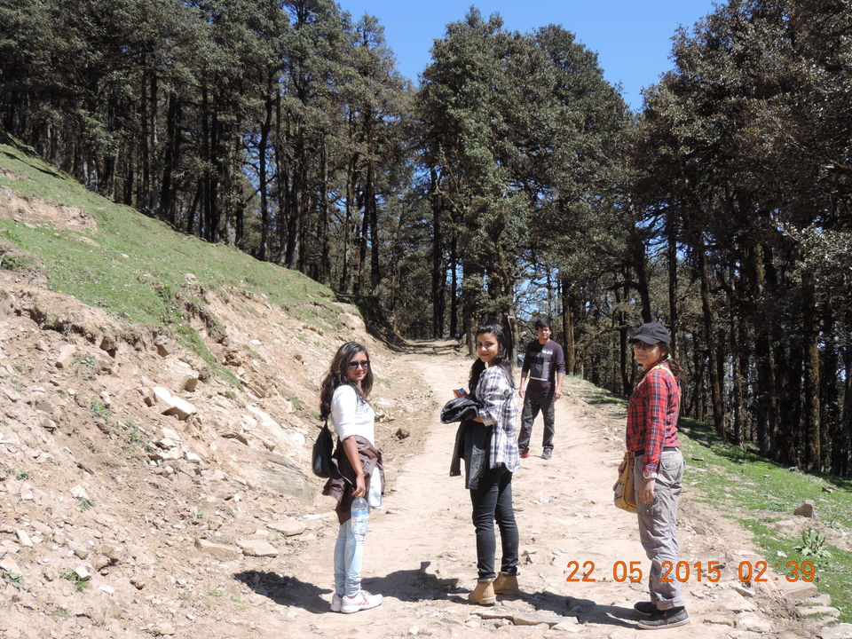 Photo of Jibhi: An unexplored and untouched hill station in Kullu 4/12 by Globetrotting Heels by Akanksha